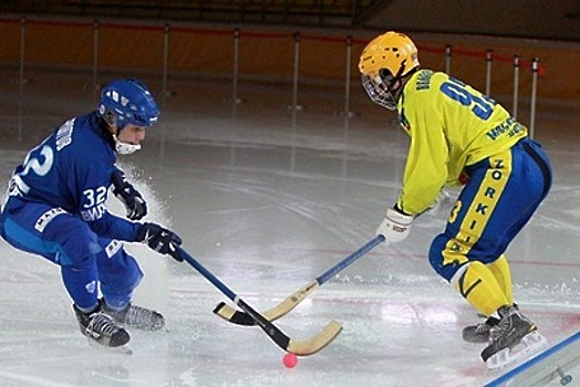 Хоккейную академию Фетисова откроют на базе СК «Легенда» в Домодедове