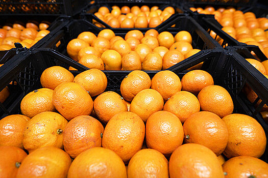 В Португалии раздают апельсины из-за отсутствия покупателей на фоне санкций против РФ