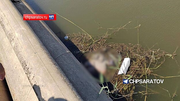 Спасатели извлекли из реки Большой Узень под Саратовом тело мужчины