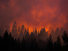 Площадь лесных пожаров на Дальнем Востоке выросла на тысячи гектаров за сутки