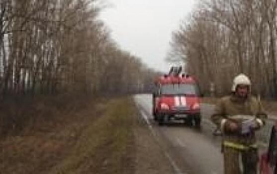 В Курской области столкнулись грузовик и легковушка