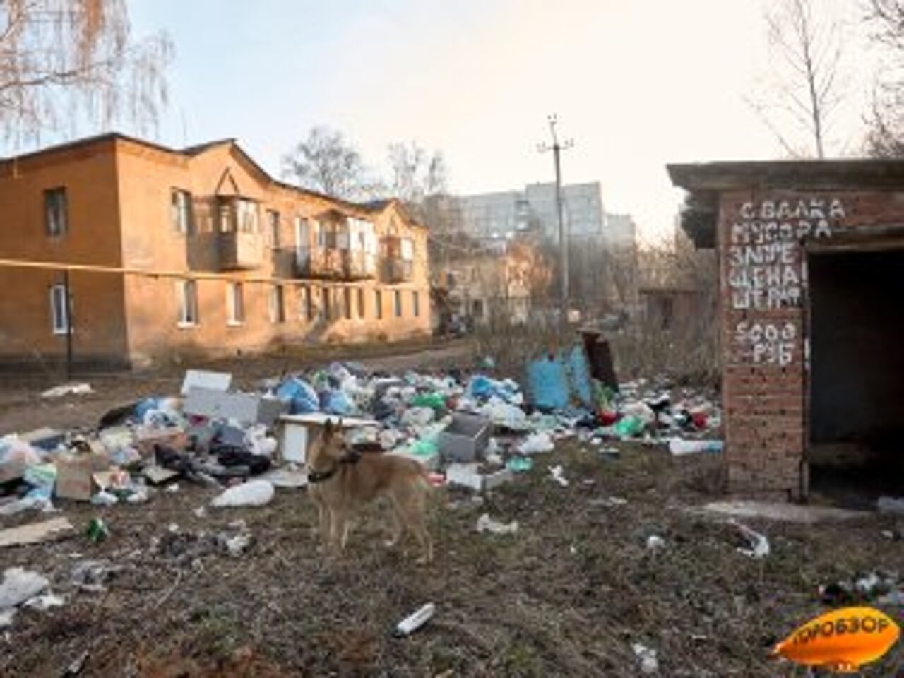 Завелись крысы и тараканы» – жители района Уфы ведут войну с управляющей  компанией - Рамблер/новости