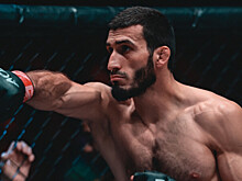 Чемпион АСА Гасанов: «На месте Белаза я бы вышел против Исмаилова или Шлеменко, чем выходить и проигрывать мне»