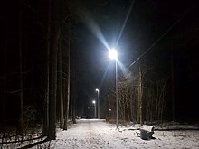 В парках Петрозаводска появились новые скамейки и освещение 