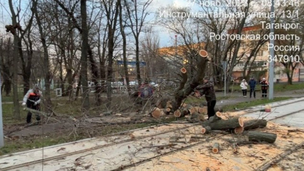 В Таганроге из-за шторма начали закрывать некоторые городские школы -  Рамблер/новости