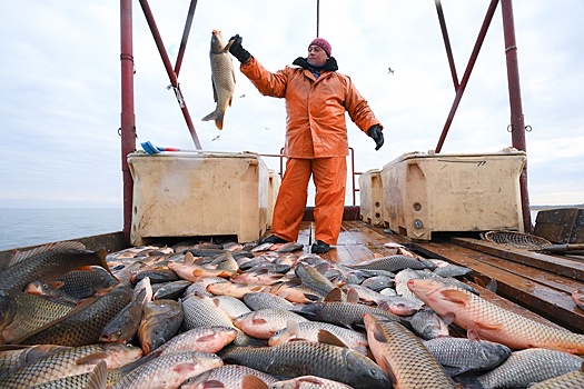 Россия может серьезно увеличить производство аквакультуры