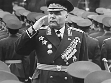 Кто из маршалов СССР во французской армии служил