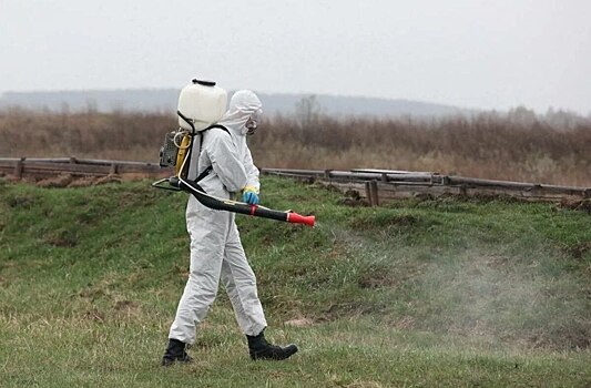 Оренбург начали обрабатывать от комаров