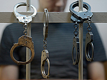 В Москве двух педофилов посадили за серию изнасилований