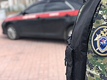 На Камчатке из-за гибели людей на вулкане Ключевская Сопка задержали гида