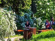В Пскове создадут Городской народный парк