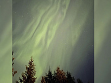 Ямальцы запечатлели северное сияние в небе над Ноябрьском