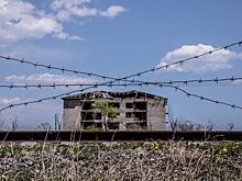 Число продаваемых в даркнете юрлиц для отмывания денег за 2023г выросло на 42%