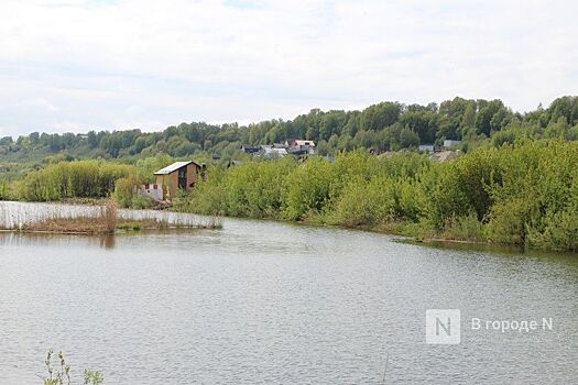 Парк или трасса: какая судьба ждет Артемовские луга