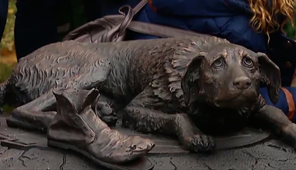 Памятник бездомным животным установили столичном в парке «Музеон»