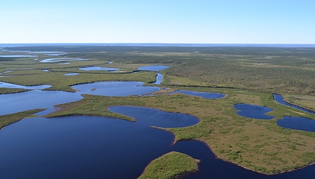 Ученые начали поиск нефтяных месторождений на стыке Томской и Новосибирской областей