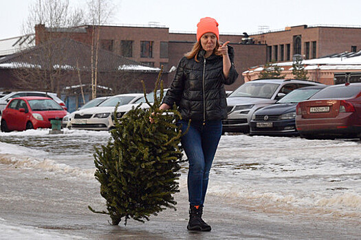 Юрист Солдатова: елку нельзя выбрасывать в мусорный бак