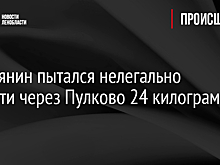 Россиянин пытался нелегально вывезти через Пулково 24 килограмма икры