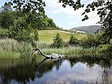 Родственника Лох-несского чудовища обнаружили в Костромской области