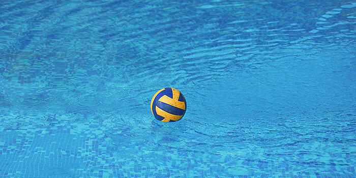 Выборы президента ФВПР пройдут в декабре, президиум выдвинул кандидатуру Шаронова