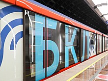 В метро Москвы временно закрыли один участок БКЛ