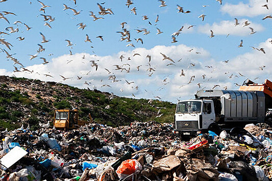 Деньги на свалку: как подорожает вывоз мусора