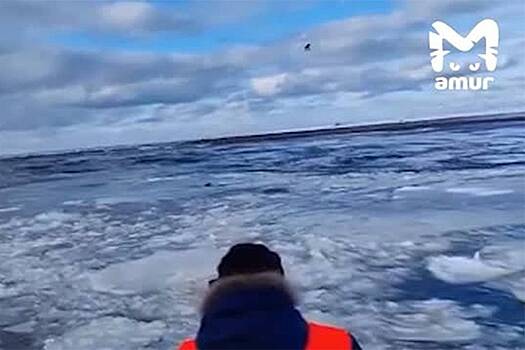 Операция по спасению раненой косатки на Камчатке попала на видео
