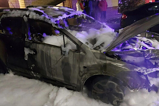 Мужчина сжег гараж с 10 автомобилями в Новосибирске