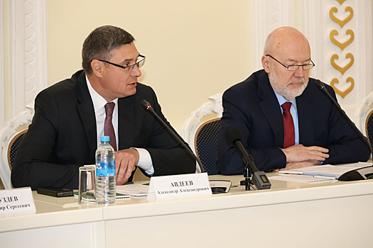 Губернатор Александр Авдеев: Владимир стал площадкой выездного заседания Совета при Президенте РФ по кодификации законов