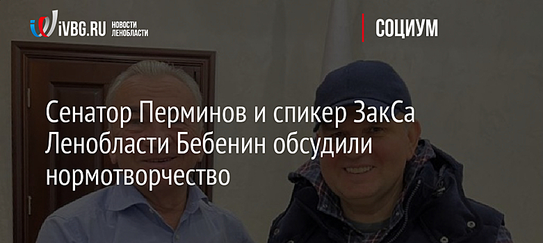 Сенатор Перминов и спикер ЗакСа Ленобласти Бебенин обсудили нормотворчество