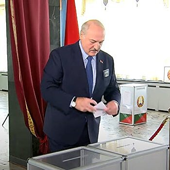 Выборы в Белоруссии признали состоявшимися