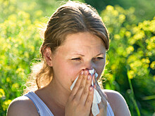 Врач назвала признаки поллиноза