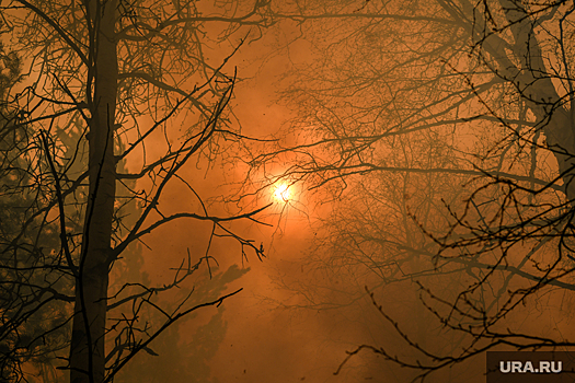 Природные пожары на юге Приморья охватили свыше 2 тысяч гектаров