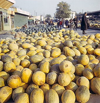 Узбекистан впервые экспортировал дыни в США