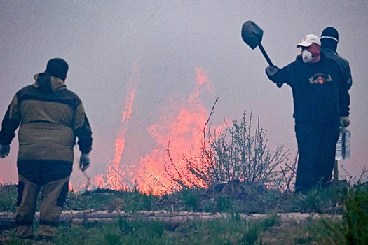 Сухая трава загорелась в Пятигорске на площади 700 "квадратов"