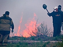 Сухая трава загорелась в Пятигорске на площади 700 "квадратов"