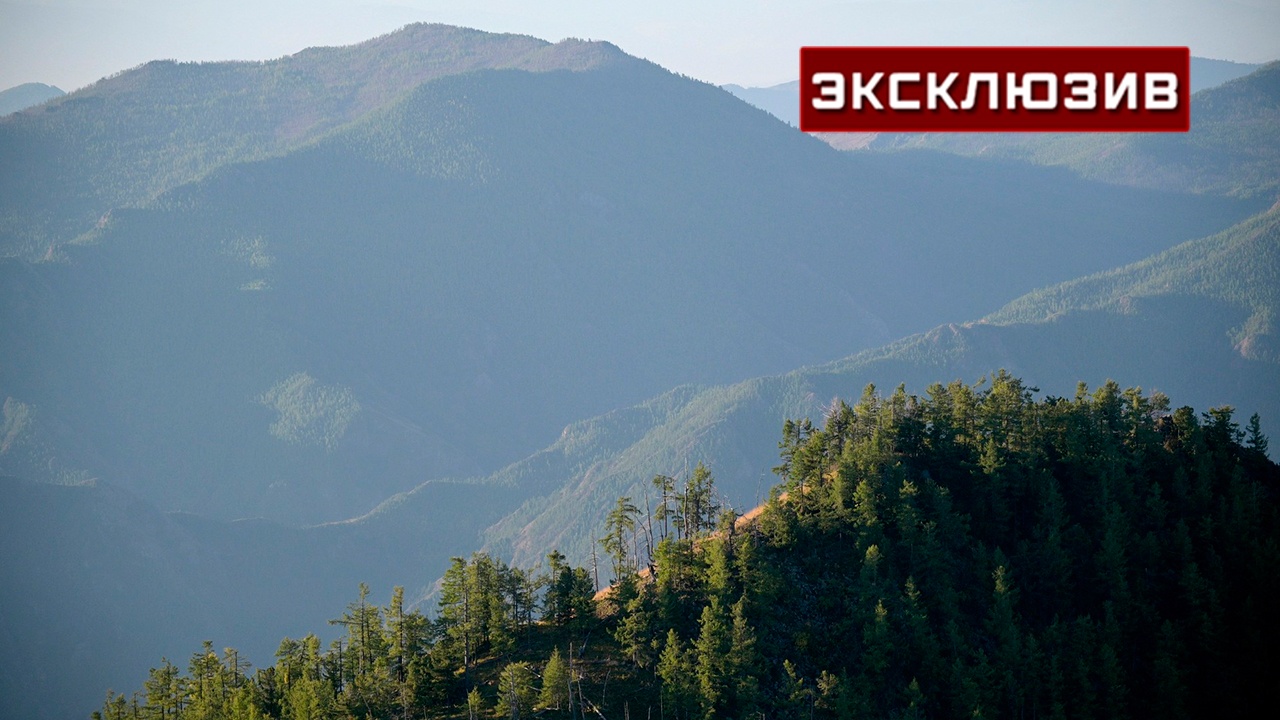 Часть пути до рухнувшего Ан-24 в тайге Приамурья спасатели проделают пешком