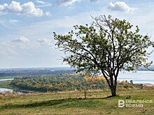 В 2024 году в России выросло количество случаев загрязнения воздуха