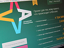 Голосование как работа. «Активному гражданину» три года