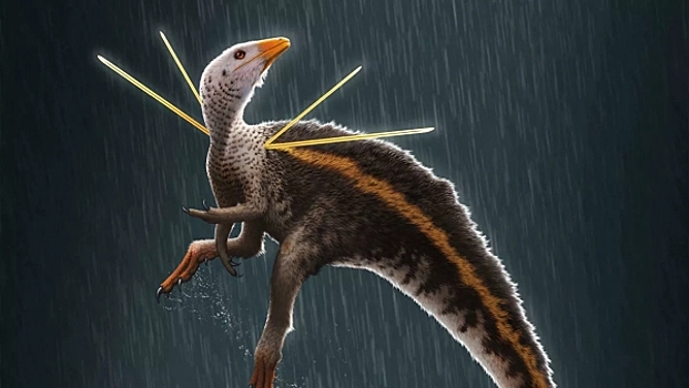 Обнаружен динозавр с меховой гривой