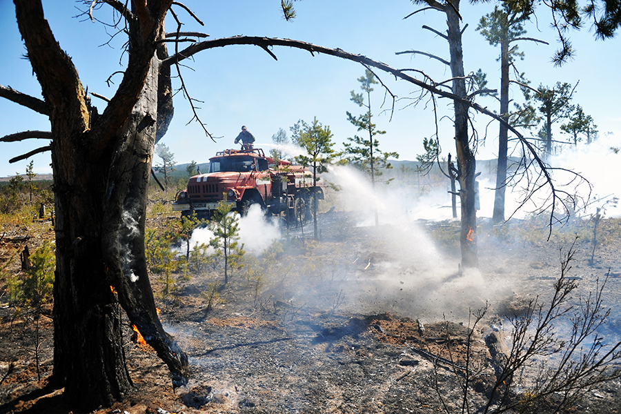 В деле о поджоге леса детьми появились неожиданные подробности