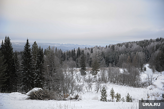 Свердловские медики спасли пенсионерку из глухой тайги