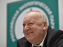 «Зеленые» заявили о планах провести в Госдуму 20 депутатов