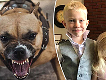 Как обычный мальчик из Вайоминга стал национальным героем: история Бриджера Уокера