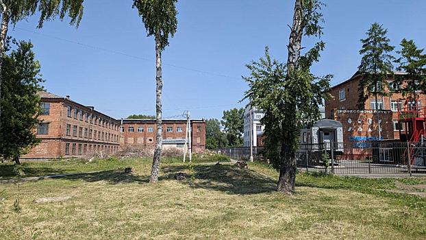 Суд заставил кемеровчанина спилить угрожающие студентам деревья