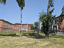 Суд заставил кемеровчанина спилить угрожающие студентам деревья