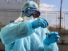 Наибольшее число зараженных коронавирусом в Подмосковье выявили в Подольске и Красногорске