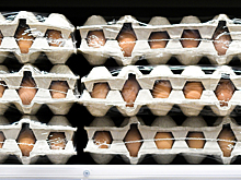 Объяснено происхождение девятки яиц