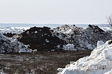 На полях Пестречинского района Татарстана запахло скандалом