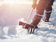 Продажи лопат в Минске выросли в десятки раз на фоне сильных снегопадов